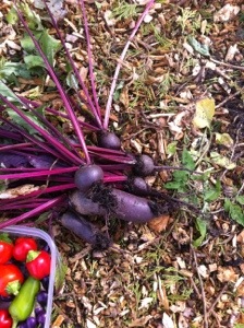 20130914-035735 PM.jpg