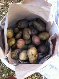 20130918-052313 PM.jpg