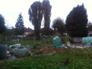 20131101-071843 pm.jpg