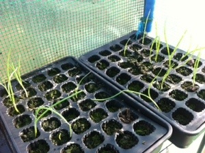 20131123-015257 pm.jpg