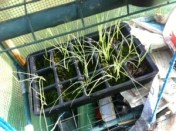 20131123-015327 pm.jpg