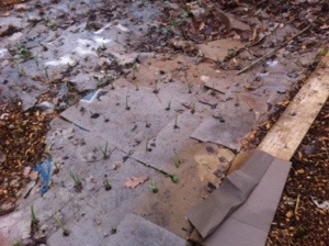 20131214-031204 pm.jpg