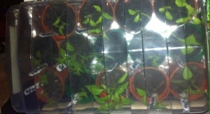 20140310-062854 pm.jpg