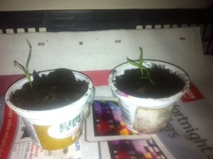 20140313-080200 pm.jpg