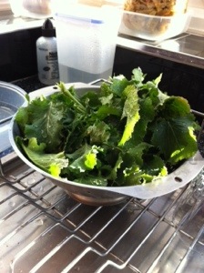 20140316-041135 pm.jpg