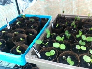 20140422-073533 pm.jpg