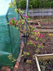 20140422-073746 pm.jpg