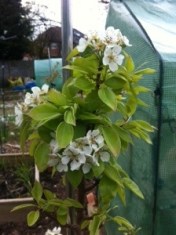 20140422-073801 pm.jpg