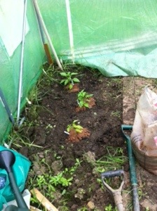 20140511-015844 pm.jpg