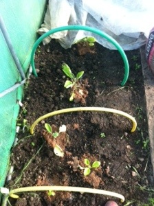 20140512-062636 pm.jpg