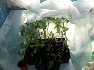 20140512-062941 pm.jpg