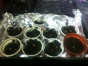 20140512-092504 pm.jpg