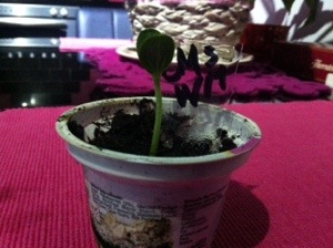 20140516-092320 pm.jpg