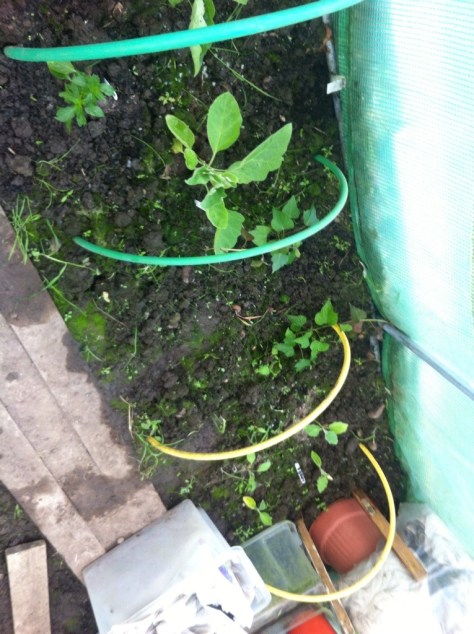 20140612-070648 am-25608379.jpg