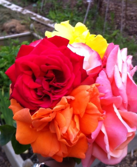 20140621-125707 pm-46627938.jpg