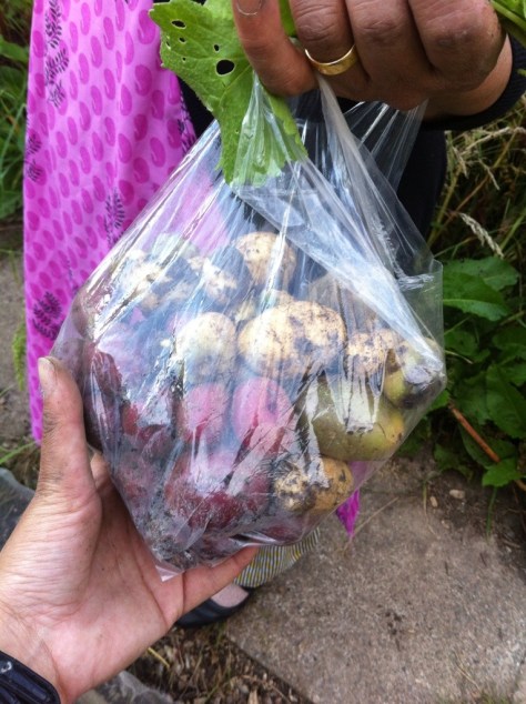 20140629-065912 pm-68352431.jpg