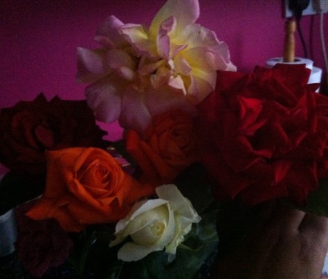 20140714-081611 pm-72971674.jpg