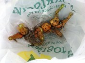 20140719-014427 pm-49467438.jpg