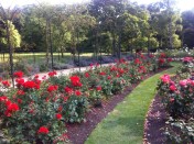 20140724-083806 pm-74286748.jpg