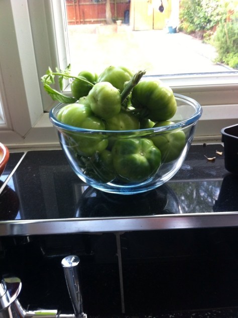 20140726-082533 pm-73533024.jpg