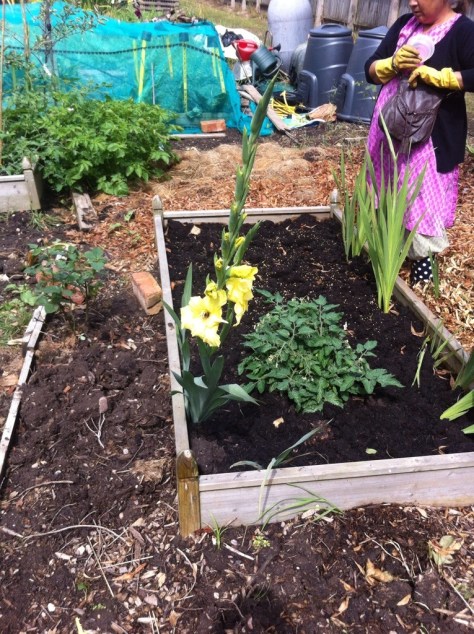 20140802-024814 pm-53294066.jpg