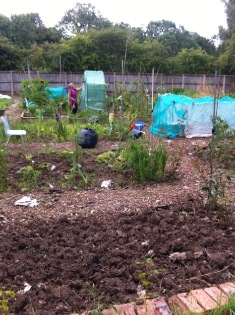 20140804-051518 pm-62118294.jpg