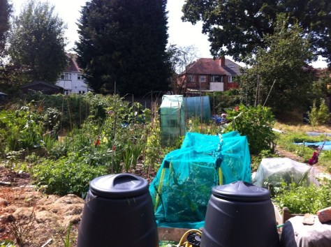 20140804-051522 pm-62122293.jpg