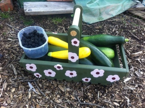 20140806-053211 pm-63131644.jpg