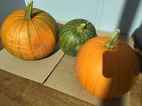 well and truly on the turn