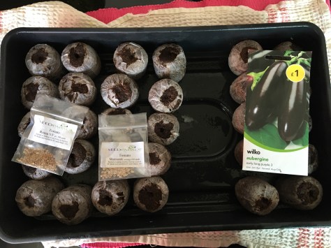 tomsaubergine.jpg